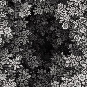 Meet your Posher, Lindsay